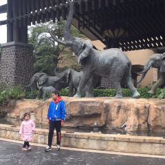 Emperor Penguin All Day Dining User Photo