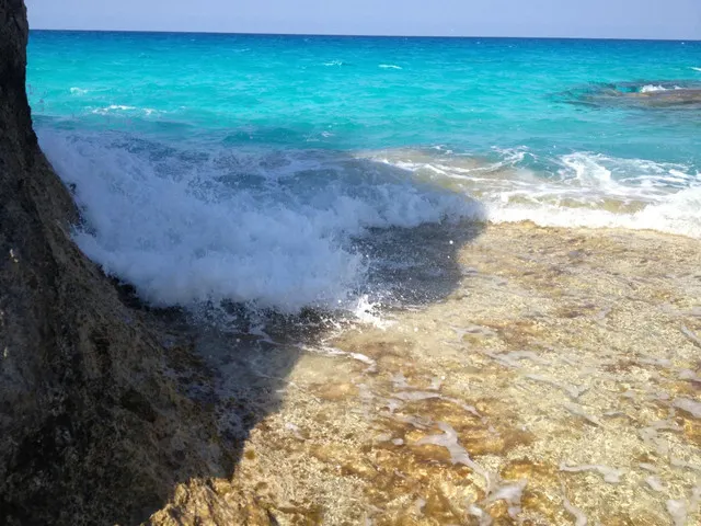 Must-Do List For This Location