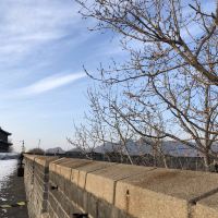 評論圖片 7