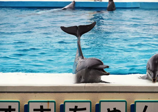 Top 10 Must See Spots in Okinawa