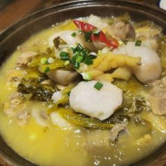 A DU TU CAI User Photo