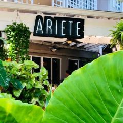 Ariete User Photo