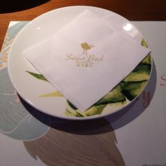 sweet bird User Photo