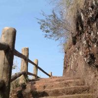 評論圖片 1