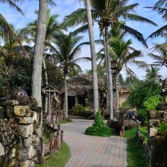 SEA STORY User Photo