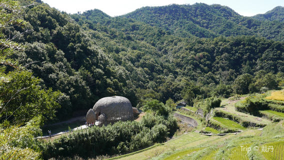 Nakayama Terraced Rice Fields