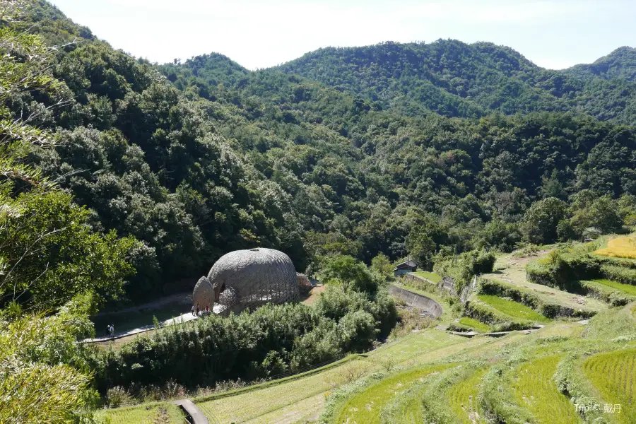 中山千枚田