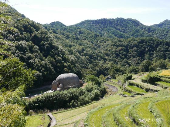 Nakayama Terraced Rice Fields