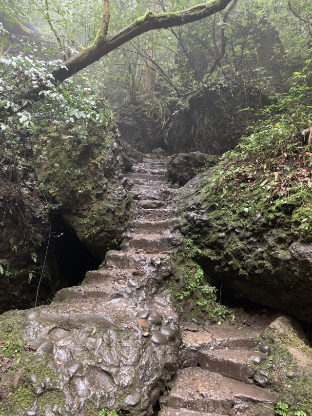 칭청 호우샨