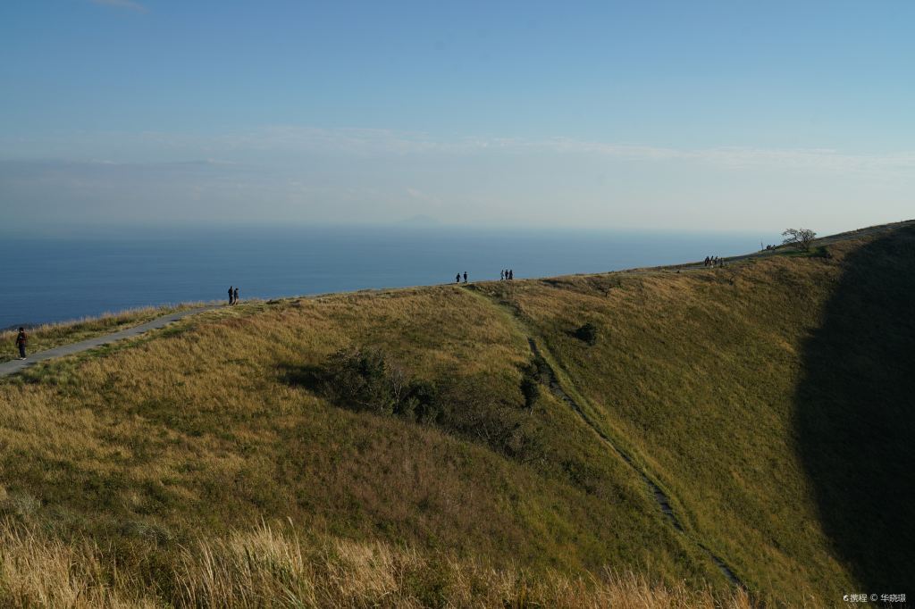 日本東京+大室山+城崎海岸+門脅吊橋一日遊【中文包車遊】
