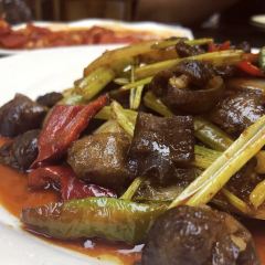 Miaoshijuanzi Chicken (xinhuiguojiduimian) User Photo
