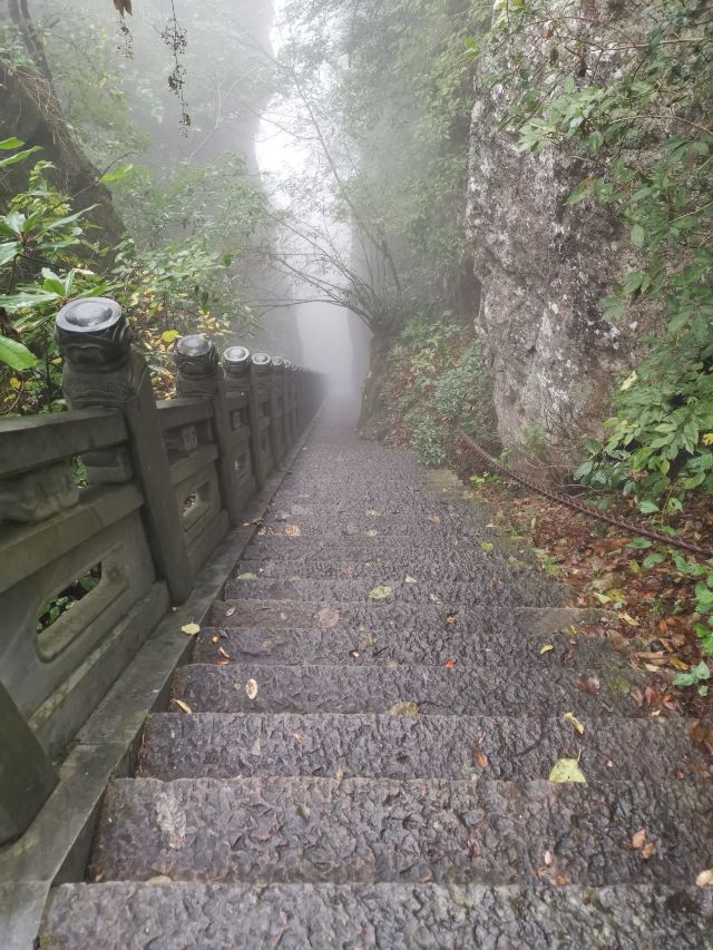 五世同堂