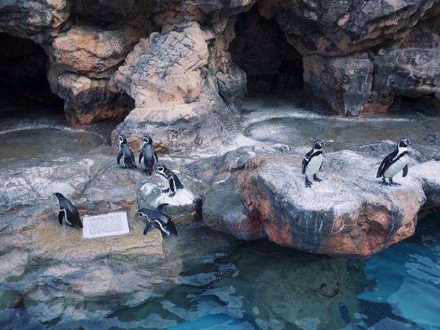 大洗水族館