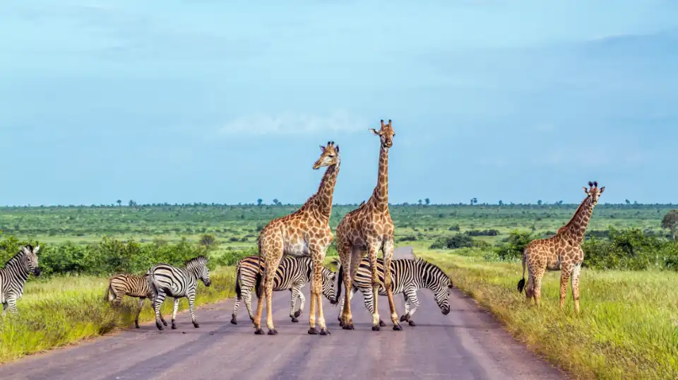 3_Kruger National Park
