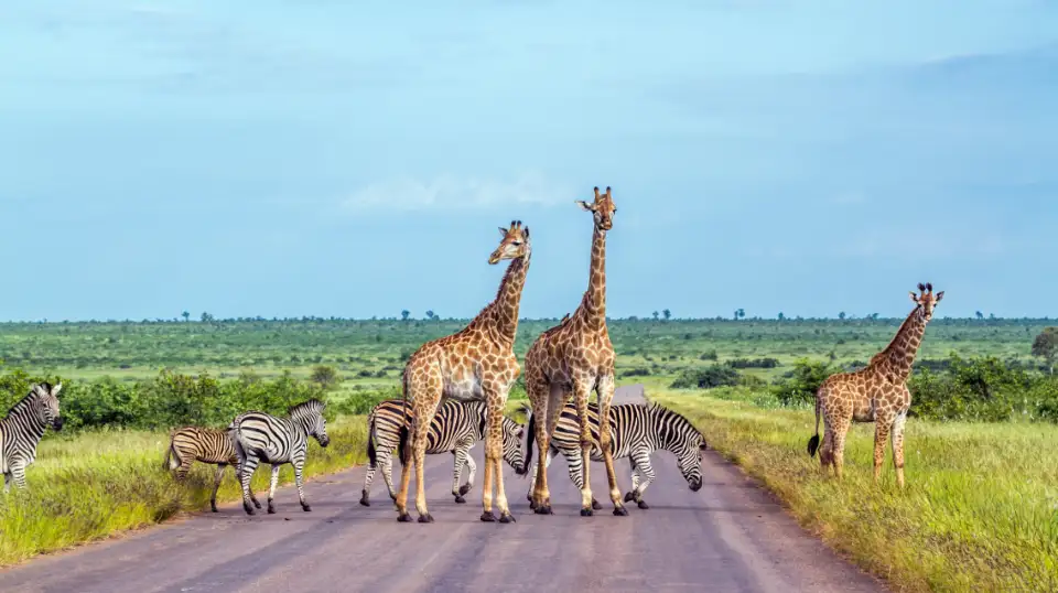 3_Kruger National Park
