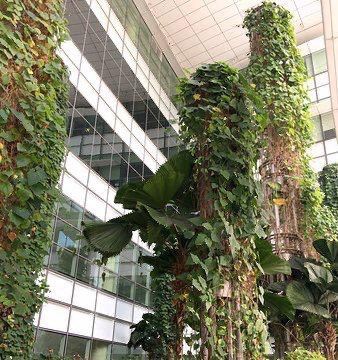 National Library of Singapore