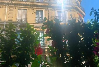 Café de Flore User Photo