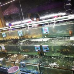 XIAO HAI TUN LIAN SUO HAI XIAN CANTING User Photo