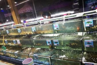 XIAO HAI TUN LIAN SUO HAI XIAN CANTING User Photo