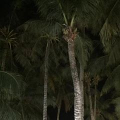 Gerry's Boracay 여행 사진