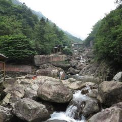 西天目林海农庄 User Photo
