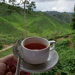 Strawberry Cottage User Photo