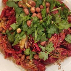 Qinglu User Photo
