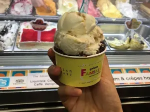 Gelato fantasy(Punto Vendita 1)