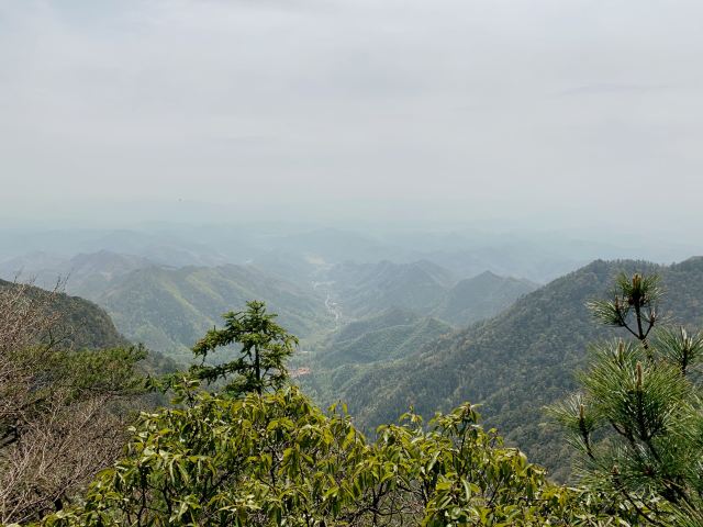 五世同堂