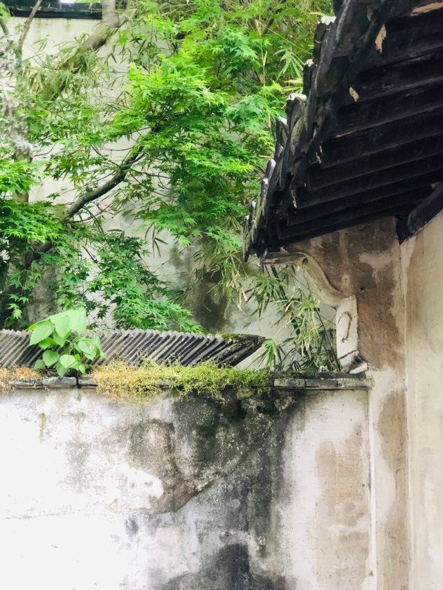 장팅