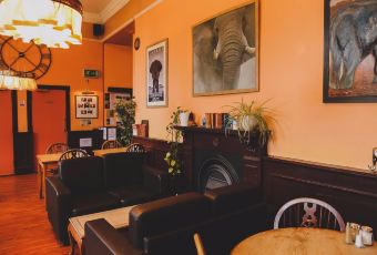 The Elephant House User Photo