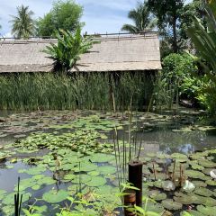 MANDA de LAOS User Photo