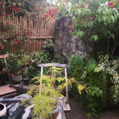 Xue Tao · In the Yard User Photo
