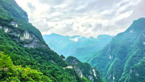 ChongqingTours