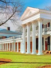 University of Virginia