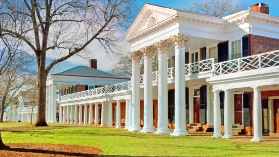 University of Virginia