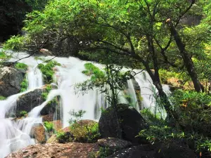 屏峯雨林恐龍公園