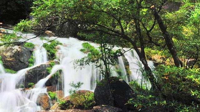 Pingfeng Rainforest Dinosaur Park