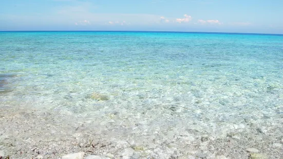 Kathisma Beach Reviews: Food & Drinks in Ionian Islands Lefkada– Trip.com
