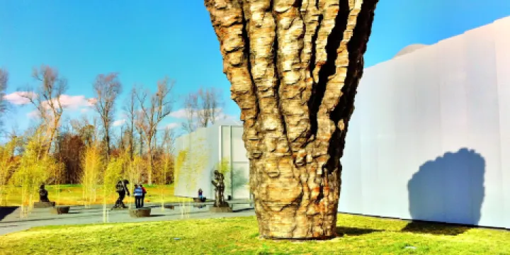 北卡羅來納藝術博物館