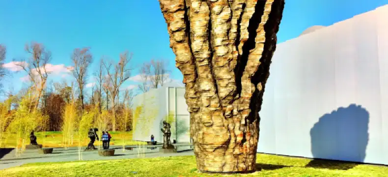 โรงแรมในราเลห์