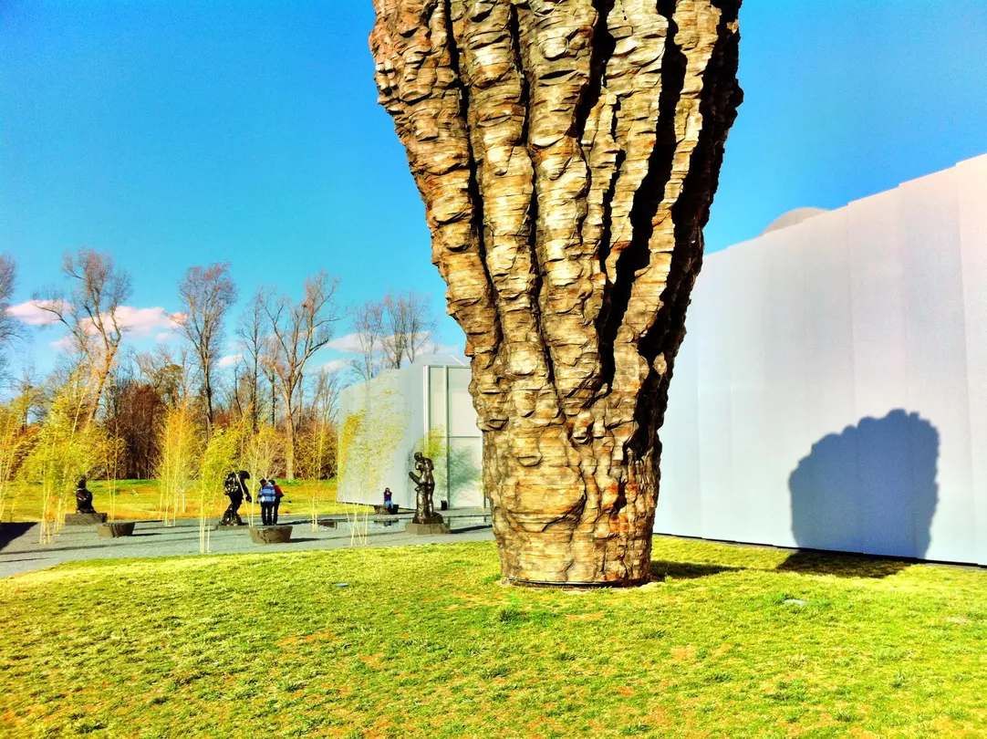 1_North Carolina Museum of Art