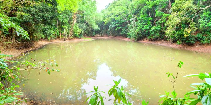 Udawatta Kele Sanctuary