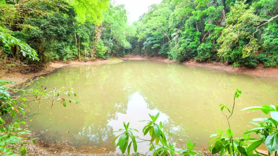 Udawatta Kele Sanctuary