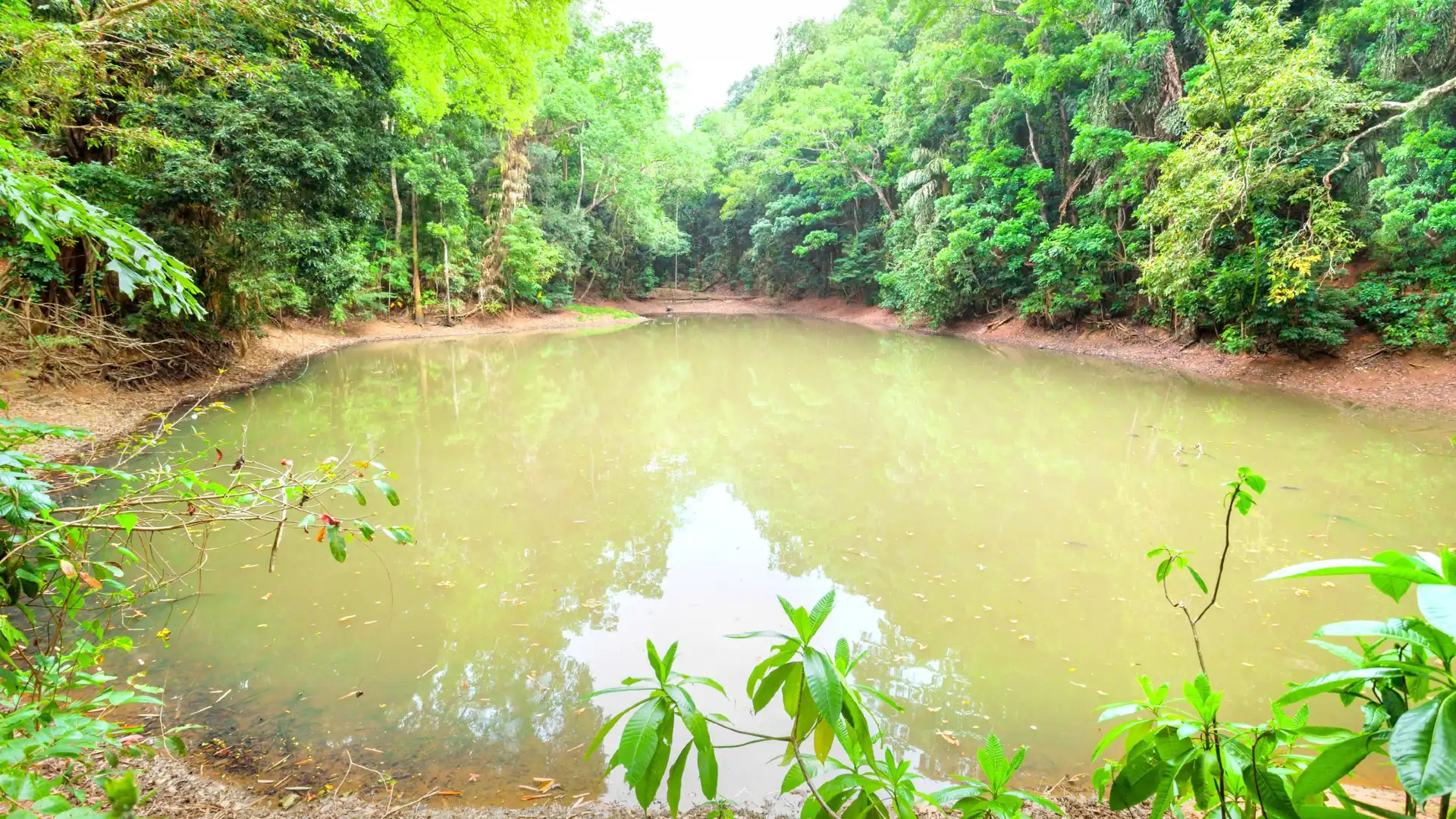 Hotels near Udawatta Kele Sanctuary