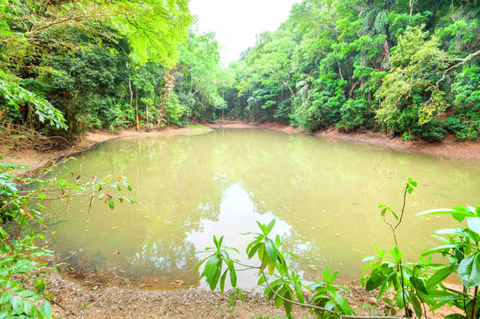 Udawatta Kele Sanctuary