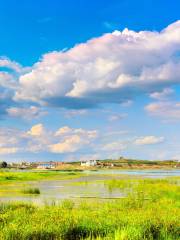 Erka Wetland Nature Reserve