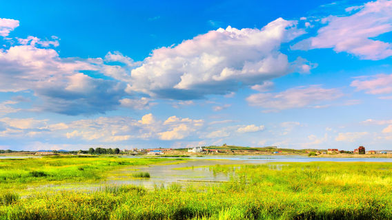 Erka Wetland Nature Reserve