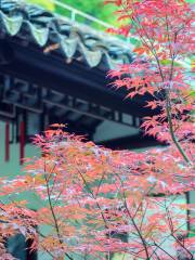 瞻園・太平天国歴史博物館