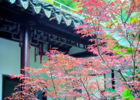 瞻園・太平天国歴史博物館